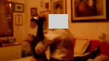 Awesome awek berambut perang video lucah skodeng Alyssa Lynn tertusuk dalam pose gadis koboi
