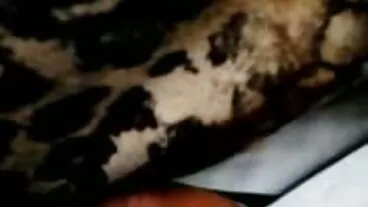 Kekasih hitam dengan batang yang cukup besar mengongkek dengan si rambut coklat lucah adik beradik awek Carmela Clutch