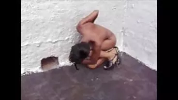 Seorang pencinta sukan memberikan urutan yang menakjubkan video lucah hd untuk Alina Lopez yang dungu